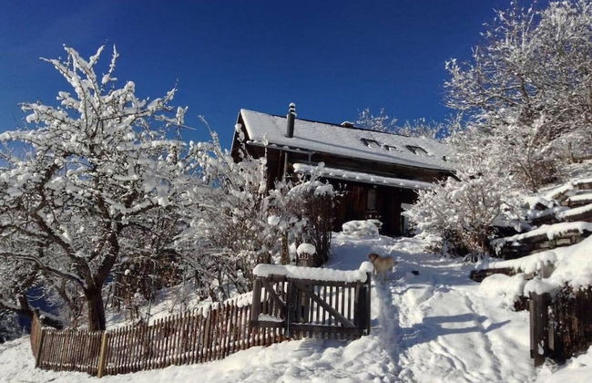 Chalet in Rougemont Near Ski Slopes - Foto 29
