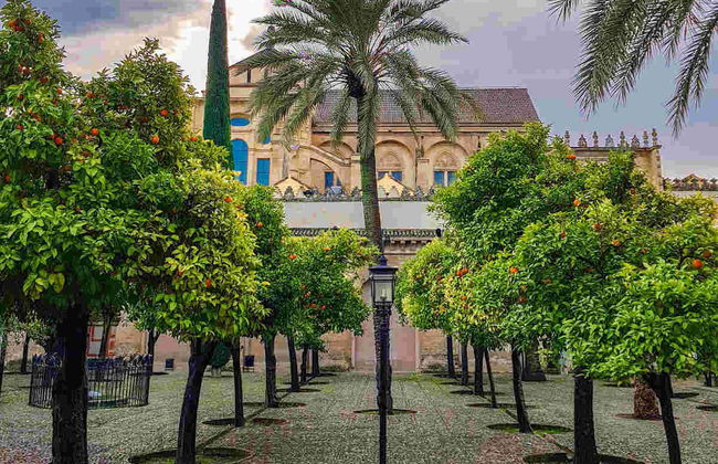 Visita guiada por la Mezquita y la Judería - Foto 1