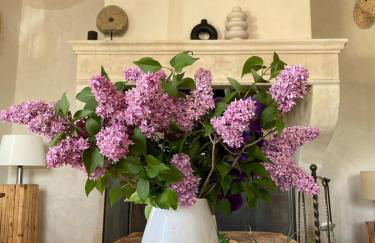 Brin d'Olivier en Luberon - Foto 37