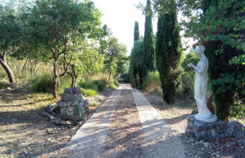 Deliziosa casa sull albero a 30 minuti da Roma - Foto 16