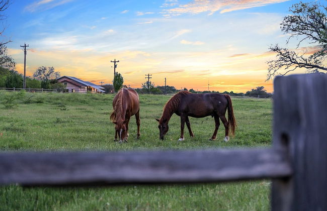 Pecan Grove Container Tiny Home Country Setting 12 min to Baylor Magnolia - Foto 38