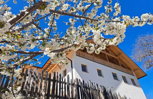 Pignathof Castanea - Foto 1