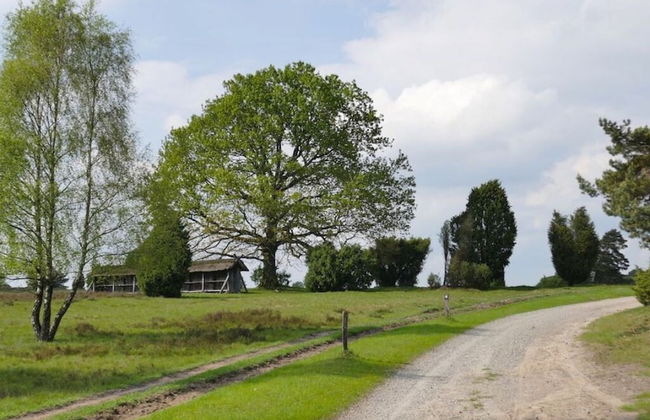 Heidetraum in der Pension Heidetraum - Photo 14