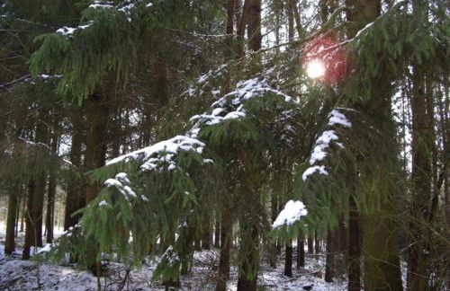 Landhaus Questin - Photo 25