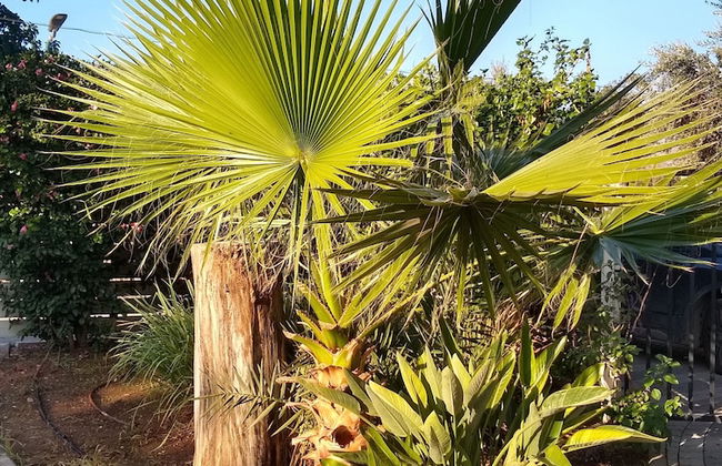 Villa BaGalil 5BR Retreat by Sea N' Rent - Foto 45