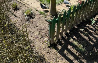 APARTAMENT MAGNOLIA - Foto 40