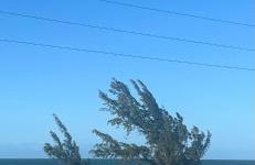 Dee's Dream Sunset Condo - #151 - Foto 15