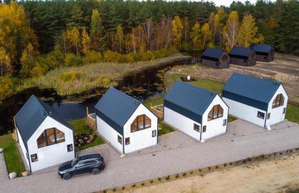 Nad brzozowym stawem - Foto 1