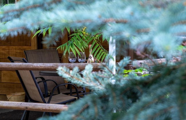 Barefoot Villas Cabin 3 Caribou - Photo 59