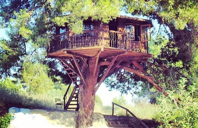 Stunning Treehouse 10 Mins From Sandy Beaches - Foto 15