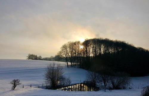 4-Zimmer Apartment auf Resthof - Foto 7