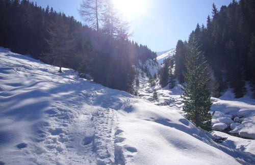 Trollenhof im Allgäu - Ferienwohnungen Säuling - Foto 37
