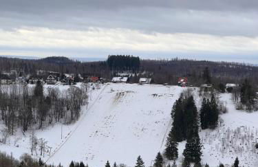 Penthouse - Panorama Suite - Hohegeiß - Foto 33
