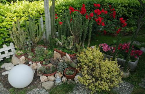 La Terrazza sul Monferrato - Foto 20