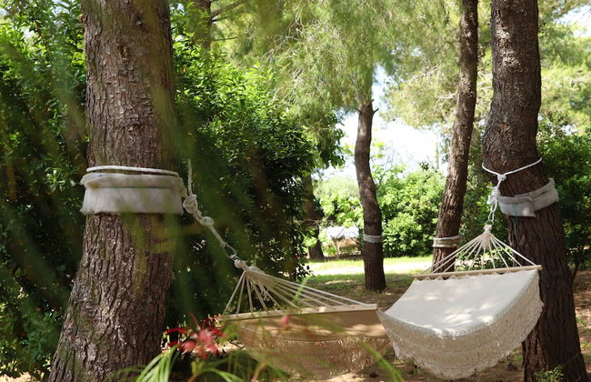 Azienda Agricola Francesca Stajano - Foto 79