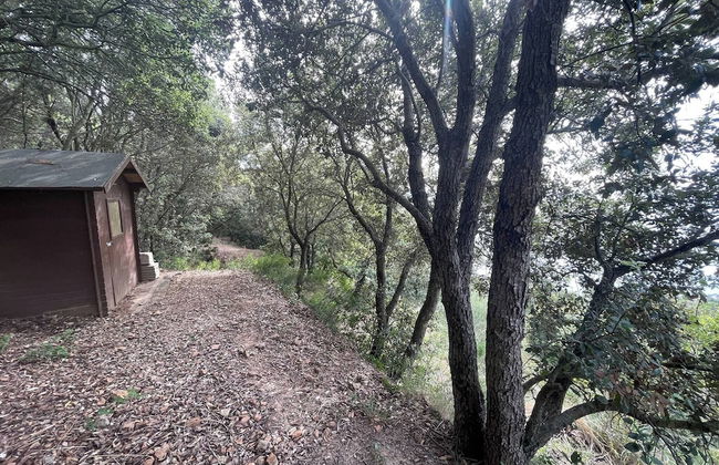 Wildsunset - Villa Cala Moresca - Foto 20