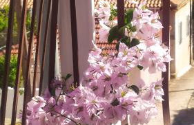 Obassys View - Photo 19