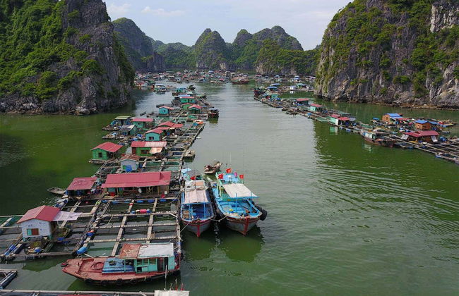Excursión a las bahías de Ha Long y Lan Ha - Foto 6