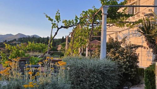 Family apartments Dominković - Foto 5