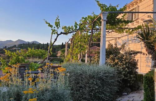 Family apartments Dominković - Photo 5