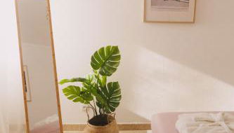 As Andorinhas - Foto 3