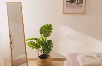 As Andorinhas - Foto 3