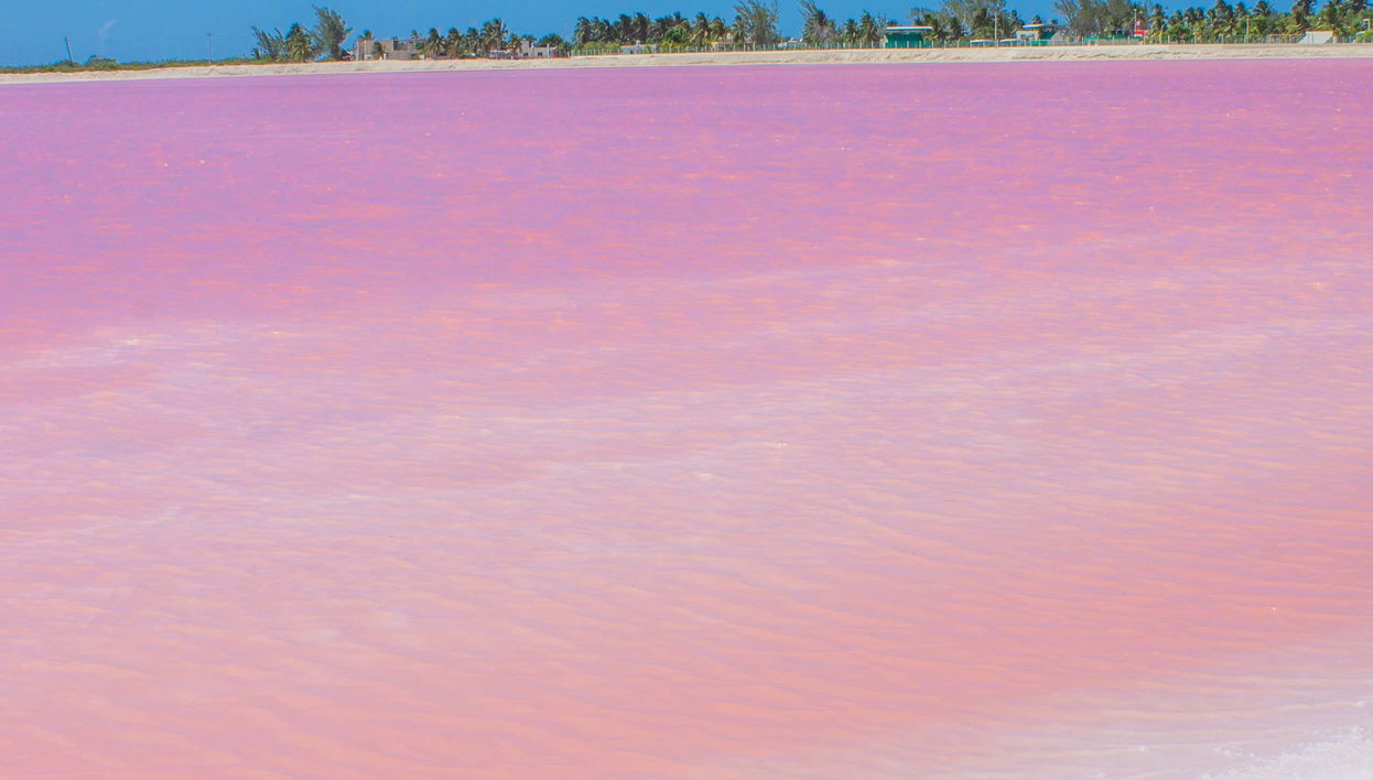 Excursion à Las Coloradas