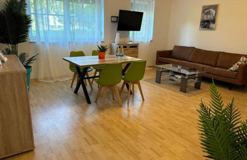 schöne Einliegerwohnung mit Stellplatz - Foto 6