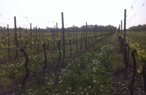 Agriturismo Al Casale - Foto 15