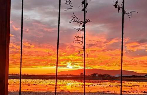 Masia Sisqueta - Photo 26