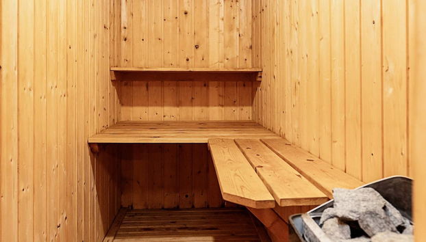 4 Person Holiday Home in Asaa - Foto 3, Sauna
