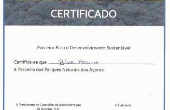 Casa Azul (Blue House) - Photo 22