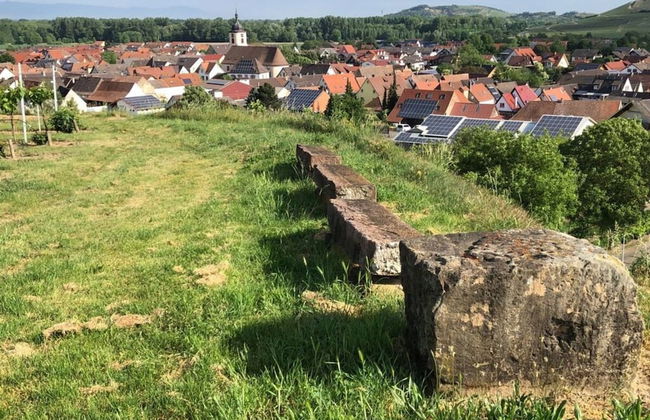 Holiday Apartment Kromer - Foto 32