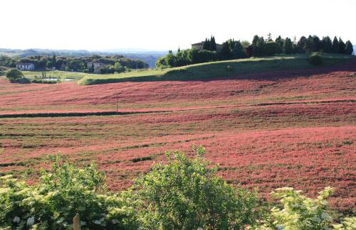 La Fornace - Foto 21