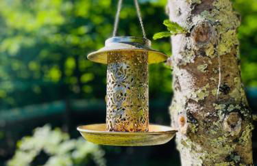 Catskill Cabin Little Owl Apt 1 - Foto 25