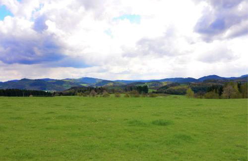 Silbecke Forest View Apartment - Foto 73