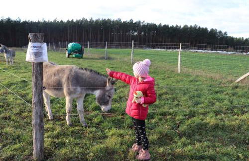 Ferienwohnung Irmchen - Foto 11