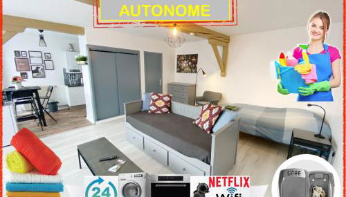 015 CHIC & COSY STUDIO 41m2 HYPERCENTRE WIFI SMART TV NETFLIX - Foto 2, towels, stove, heating, toaster