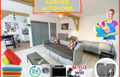 015 CHIC & COSY STUDIO 41m2 HYPERCENTRE WIFI SMART TV NETFLIX - Foto 2