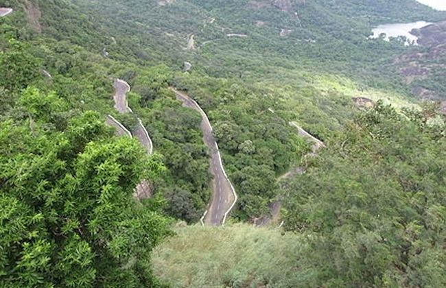 Room in Lodge - Royal Cottage, Anaimalai Multiple Room - Foto 11