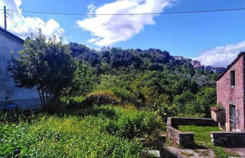 Casa Natale - Foto 35