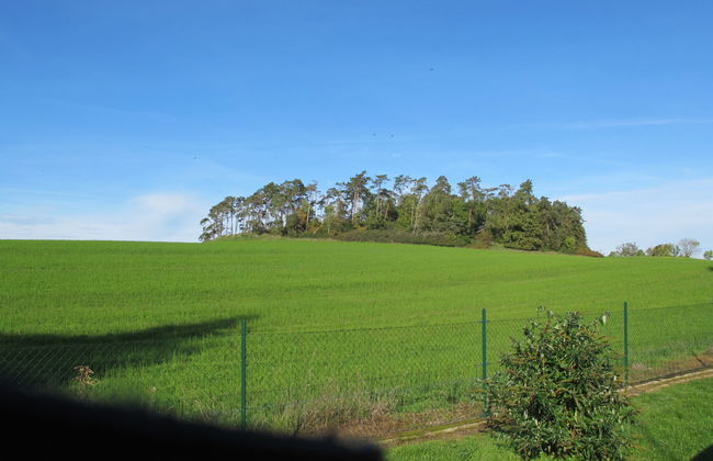 Bismarcksberg - Foto 30