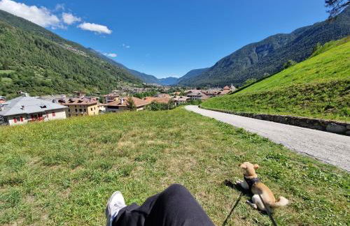 Marmot Apartment - Photo 43