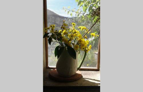 Palheirinho - Foto 46