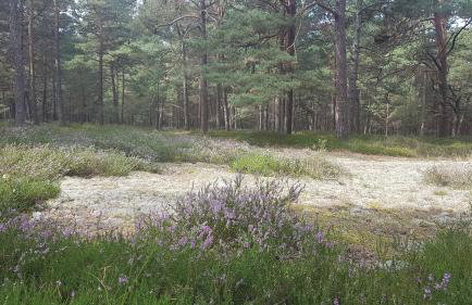 BLUE MARINE APARTAMENT 19 z Tarasem i widokiem na morze przy plaży - Foto 41