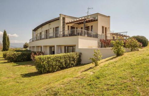 Blue Cherry - Foto 20