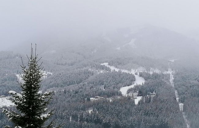 Apartment in Cavalese Near Cermis Ski Slopes - Foto 29