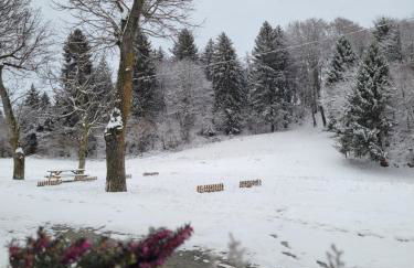 Villa Glory Mountain Lake Iseo Hospitality - Foto 40