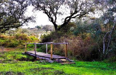 Monte do Alento - Castro da Cola - Foto 55