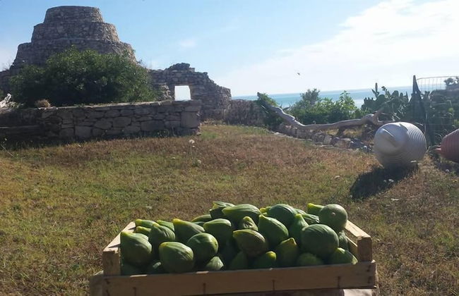 I Trulli Sul Mare - Foto 12